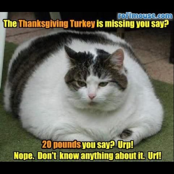 Meet your Posher, Vanessa - Picture 1 of 1